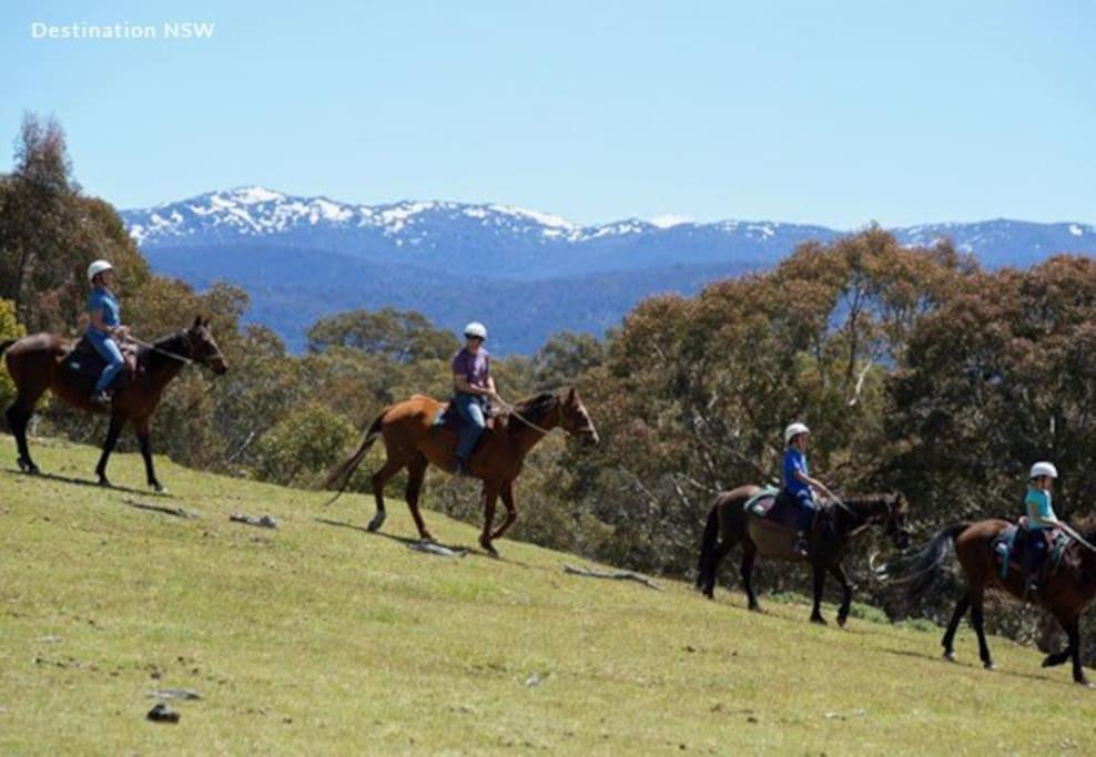 Big Yard Escapes - Two Off-Grid Tiny Houses On The Mowamba River Jindabyne Exterior photo