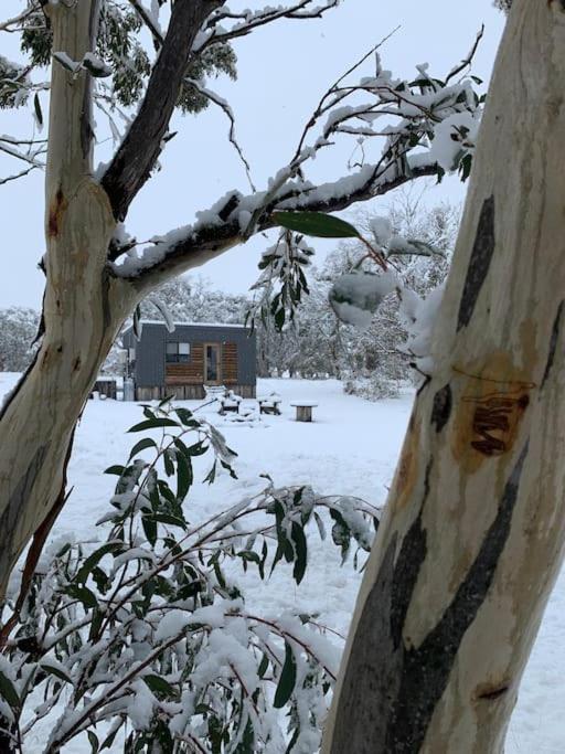 Big Yard Escapes - Two Off-Grid Tiny Houses On The Mowamba River Jindabyne Exterior photo