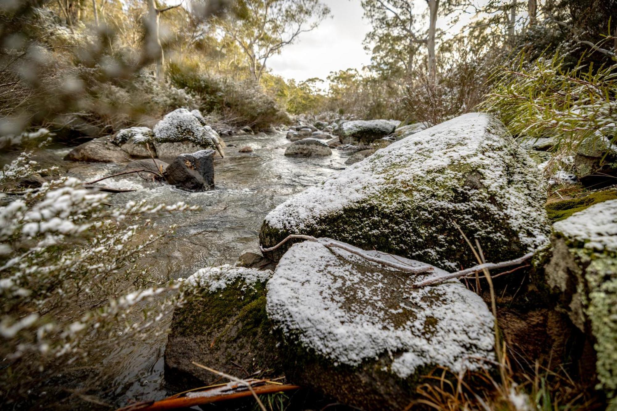 Big Yard Escapes - Two Off-Grid Tiny Houses On The Mowamba River Jindabyne Exterior photo