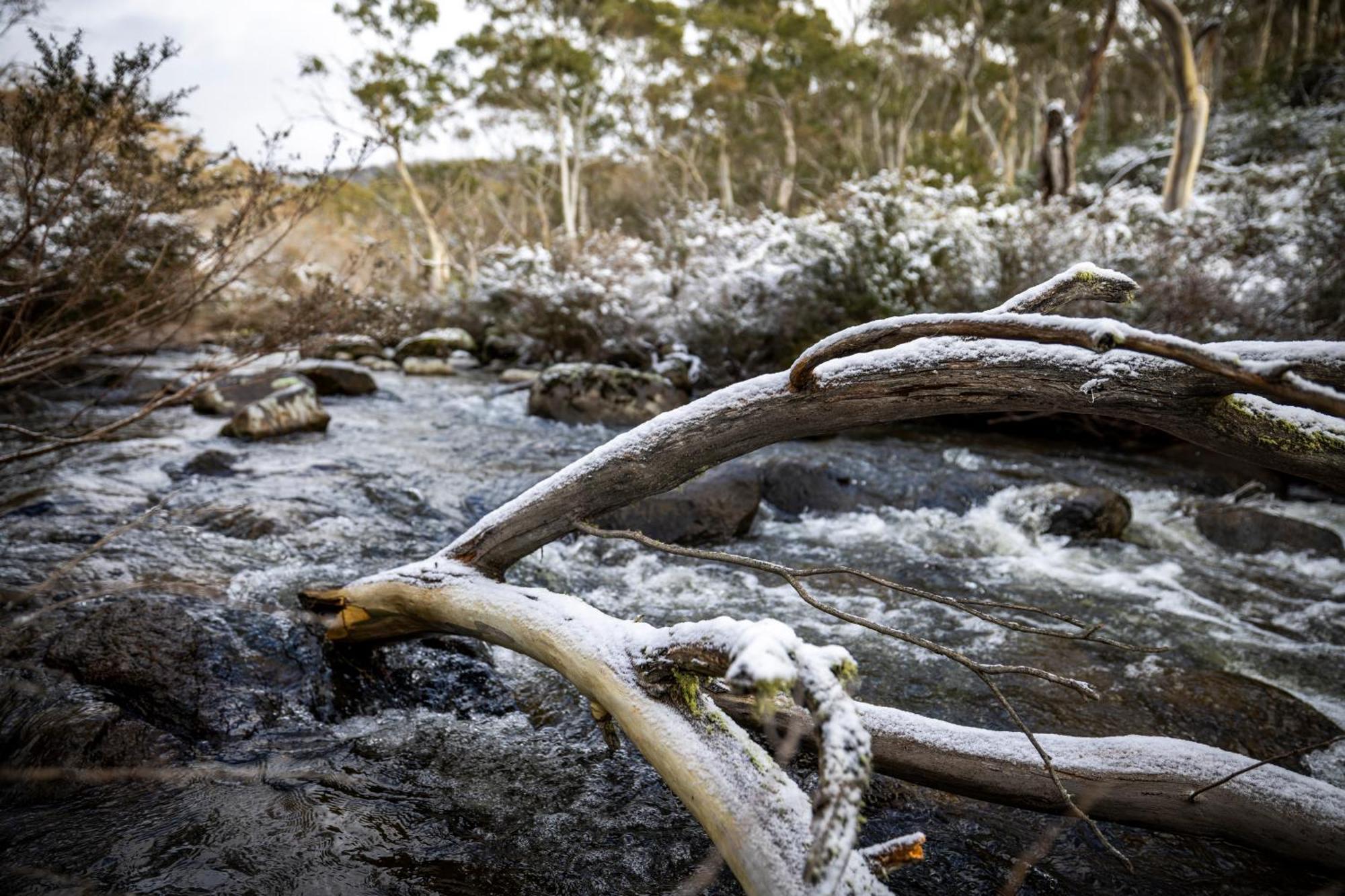 Big Yard Escapes - Two Off-Grid Tiny Houses On The Mowamba River Jindabyne Exterior photo